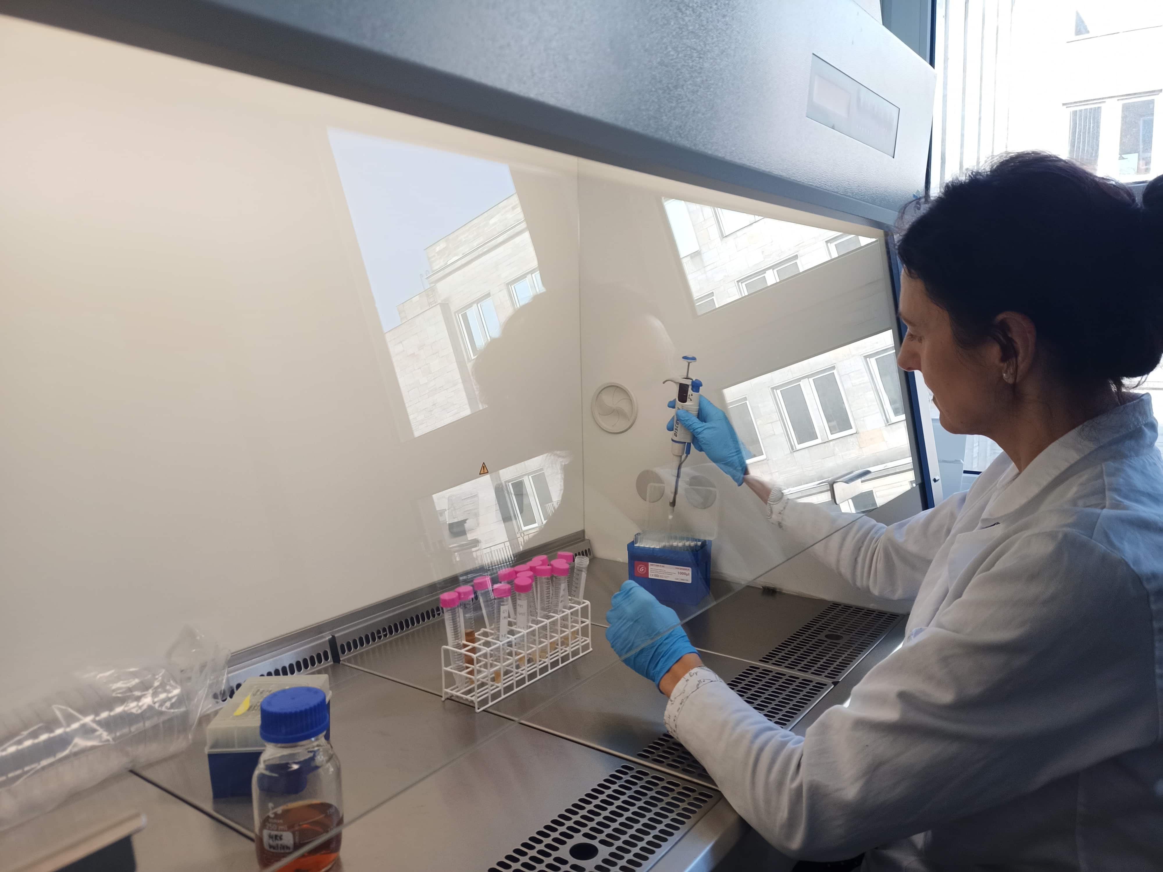 Praca w Laboratorium