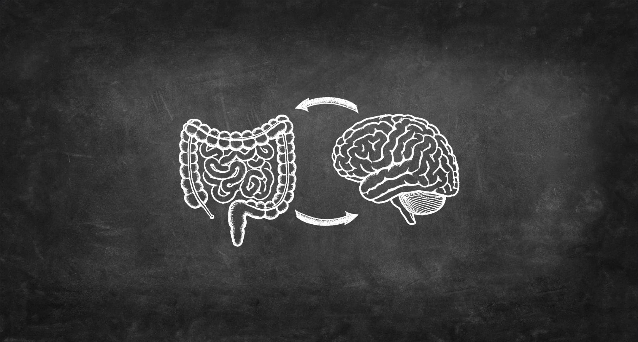 Zdjęcie przedstawiające oś jelito-mózg